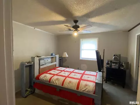 305 S Church St, Christopher, IL 62822 photo 19