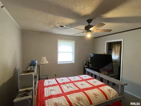 305 S Church St, Christopher, IL 62822 photo 20