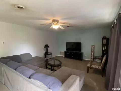 305 S Church St, Christopher, IL 62822 photo 13