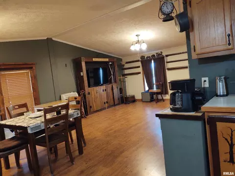 55 Hilltop Ln, Simpson, IL 62985 photo 12