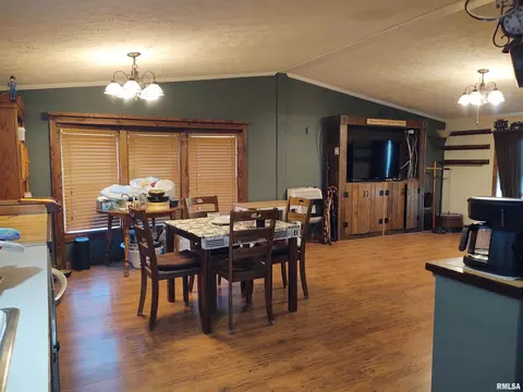55 Hilltop Ln, Simpson, IL 62985 photo 10