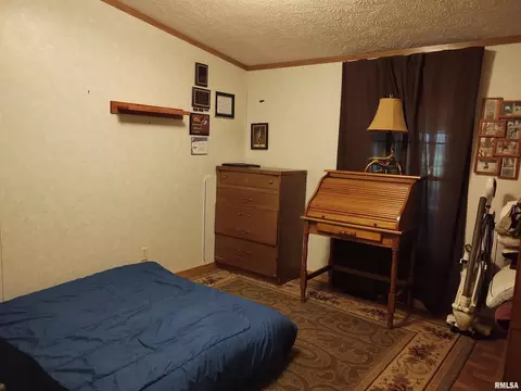 55 Hilltop Ln, Simpson, IL 62985 photo 18