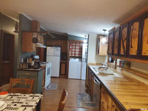 55 Hilltop Ln, Simpson, IL 62985 photo 8