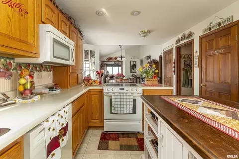 12040 Deer Run Rd, Marion, IL 62959 photo 15