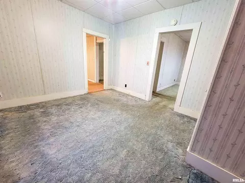 219 W South Ave, Flora, IL 62839 photo 15