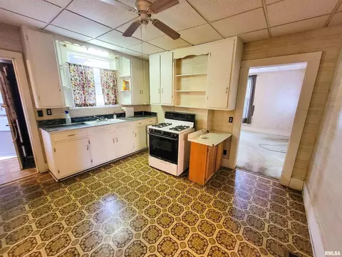 219 W South Ave, Flora, IL 62839 photo 10