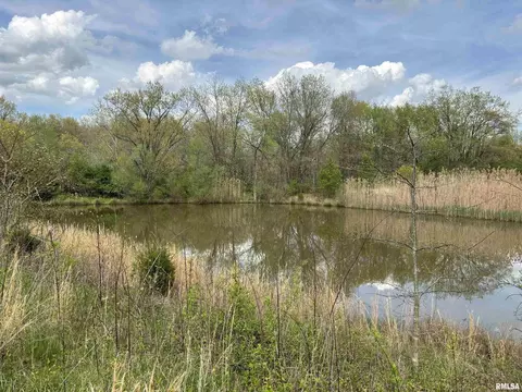 00 Perrine St, Centralia, IL 62801 photo 9