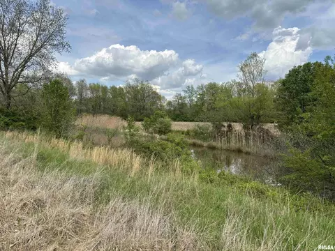 00 Perrine St, Centralia, IL 62801 photo 8