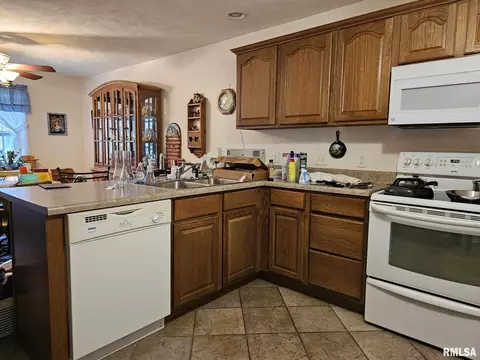 623 Lake Harbor Dr, Marion, IL 62959 photo 5