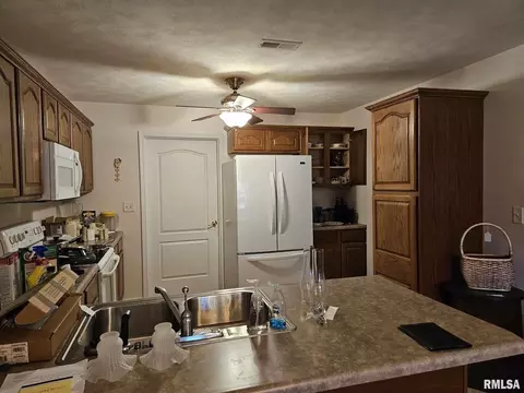 623 Lake Harbor Dr, Marion, IL 62959 photo 8