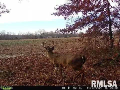 00 E Night Rd, Dix, IL 62830 photo 6