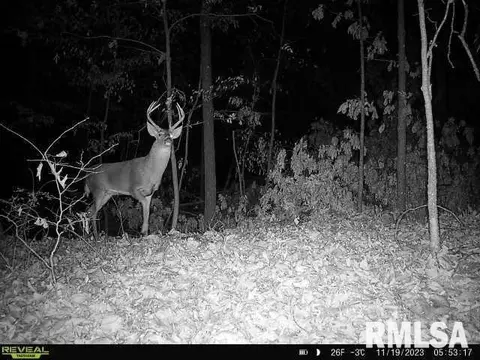 00 E Night Rd, Dix, IL 62830 photo 7