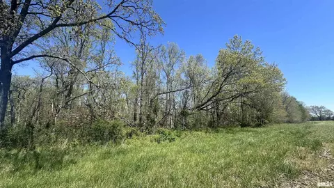 00 E Night Rd, Dix, IL 62830 photo 3