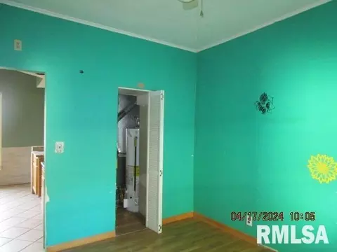 210 W Ray St, Christopher, IL 62822 photo 9