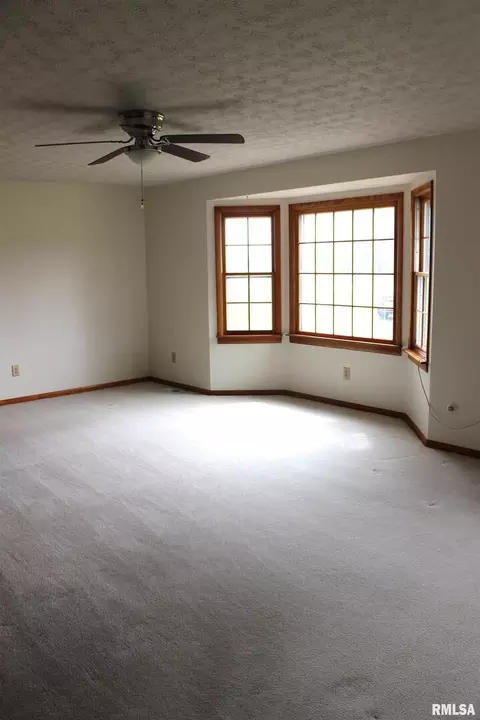 5403 Brubaker Rd, Salem, IL 62881 photo 24