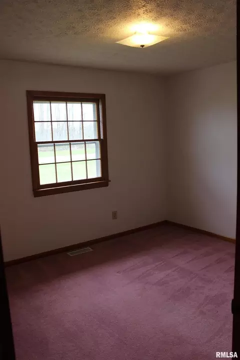 5403 Brubaker Rd, Salem, IL 62881 photo 13