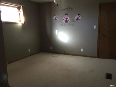 965 Skyline Dr, Cobden, IL 62920 photo 13