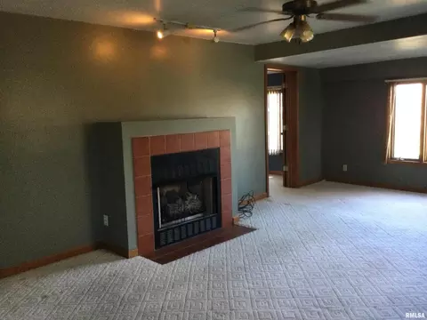 965 Skyline Dr, Cobden, IL 62920 photo 11