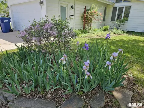 13 Cherry Dr, Mount Vernon, IL 62864 photo 5