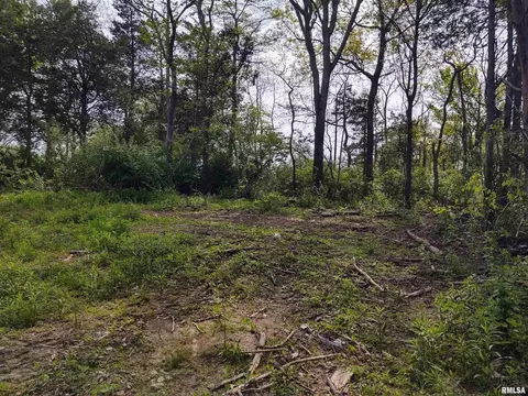 808 Chapman Ln, Goreville, IL 62939