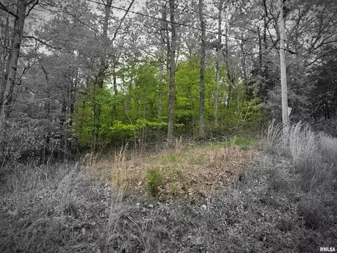 lot S 120 121 N Lakeshore Dr, Goreville, IL 62939