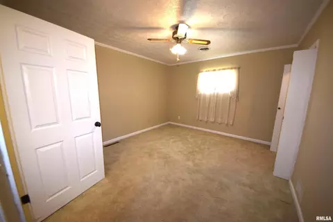 107 Walnut St, Energy, IL 62933 photo 13