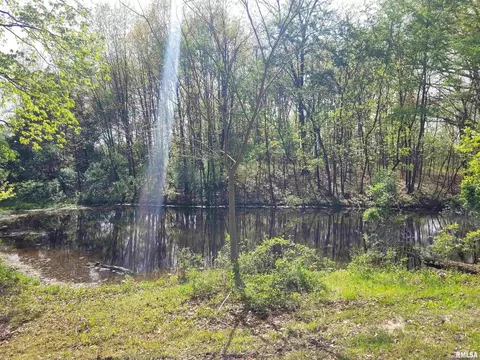 17286 E Angling Rd, Mount Vernon, IL 62864 photo 27
