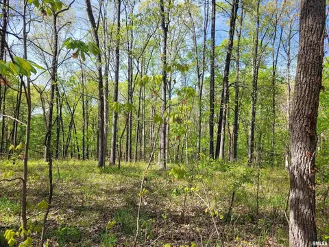 17286 E Angling Rd, Mount Vernon, IL 62864 photo 26