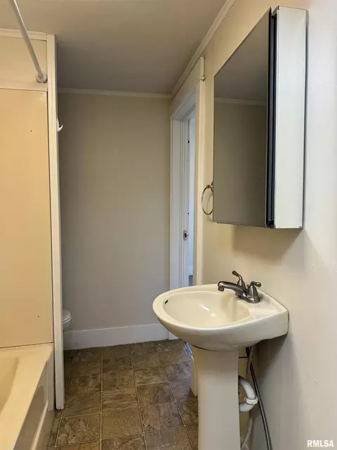 203 Freeman St, Anna, IL 62906 photo 21