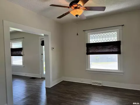 203 Freeman St, Anna, IL 62906 photo 10