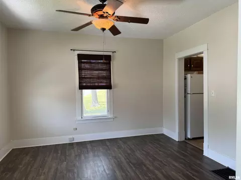 203 Freeman St, Anna, IL 62906 photo 11