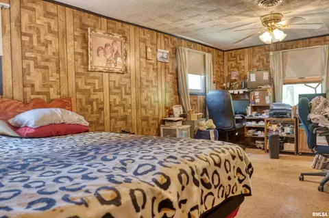 19365 Corinth Rd, Pittsburg, IL 62974 photo 16