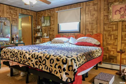 19365 Corinth Rd, Pittsburg, IL 62974 photo 15