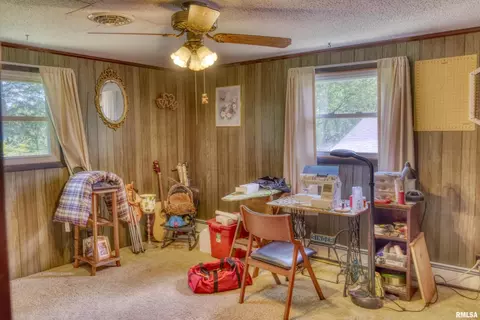 19365 Corinth Rd, Pittsburg, IL 62974 photo 23