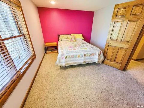 193 Forest Dr, Flora, IL 62839 photo 64