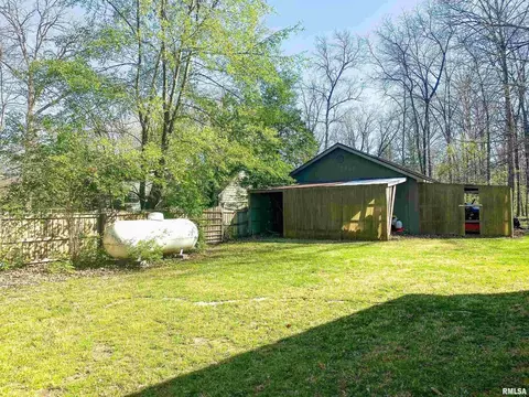 193 Forest Dr, Flora, IL 62839 photo 7