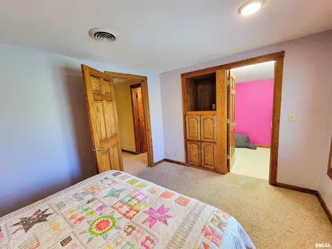 193 Forest Dr, Flora, IL 62839 photo 62