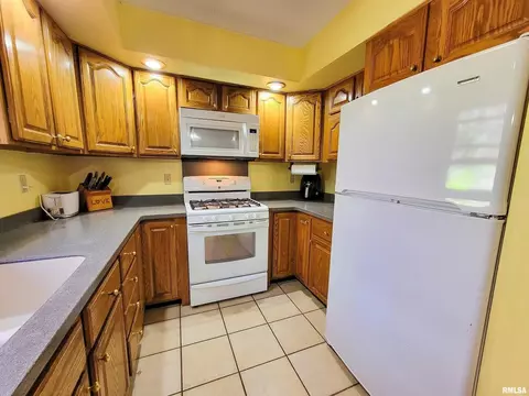 193 Forest Dr, Flora, IL 62839 photo 37