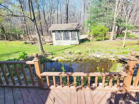 193 Forest Dr, Flora, IL 62839 photo 33