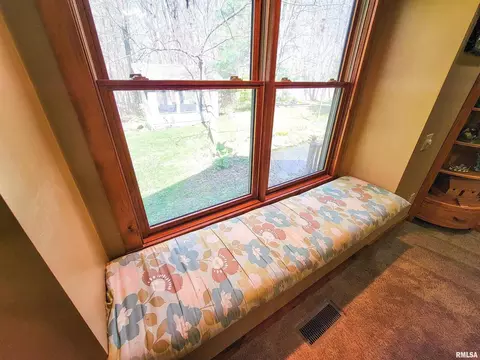 193 Forest Dr, Flora, IL 62839 photo 30