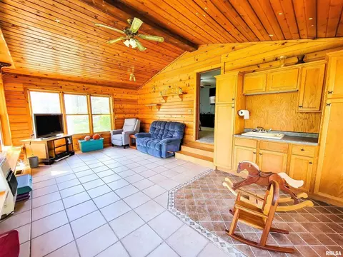 193 Forest Dr, Flora, IL 62839 photo 41