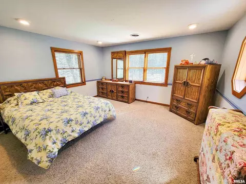 193 Forest Dr, Flora, IL 62839 photo 57