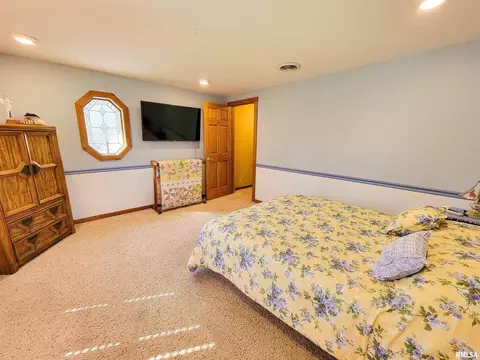 193 Forest Dr, Flora, IL 62839 photo 60