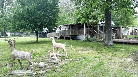 1032 Mohawk Trl, Centralia, IL 62801 photo 22