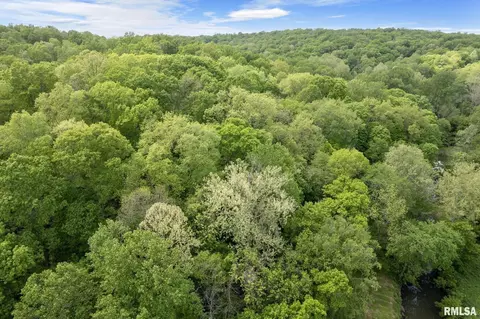 000 Bowman Bottoms Rd, Tunnel Hill, IL 62972