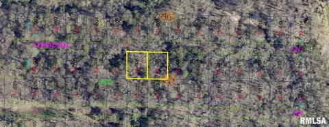 0000 Mallard Dr, Carterville, IL 62918