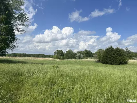 3741 Hicks Rd, Alma, IL 62807