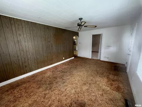 234 Austin St, Flora, IL 62839 photo 4