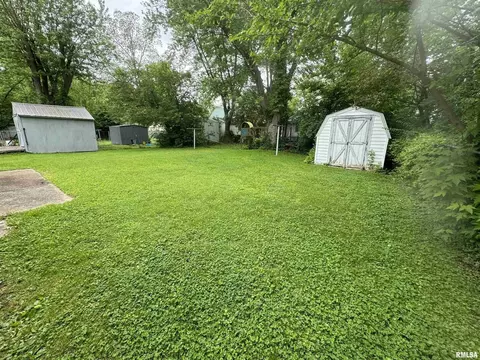 234 Austin St, Flora, IL 62839 photo 26
