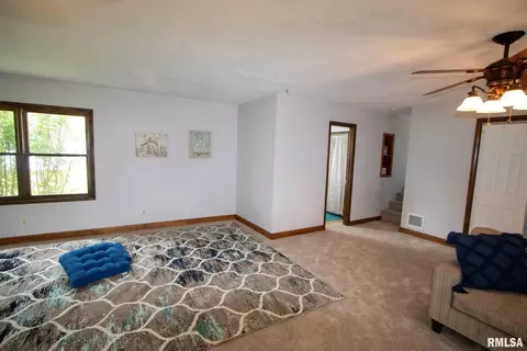 602 S Thomas St, Christopher, IL 62822 photo 31